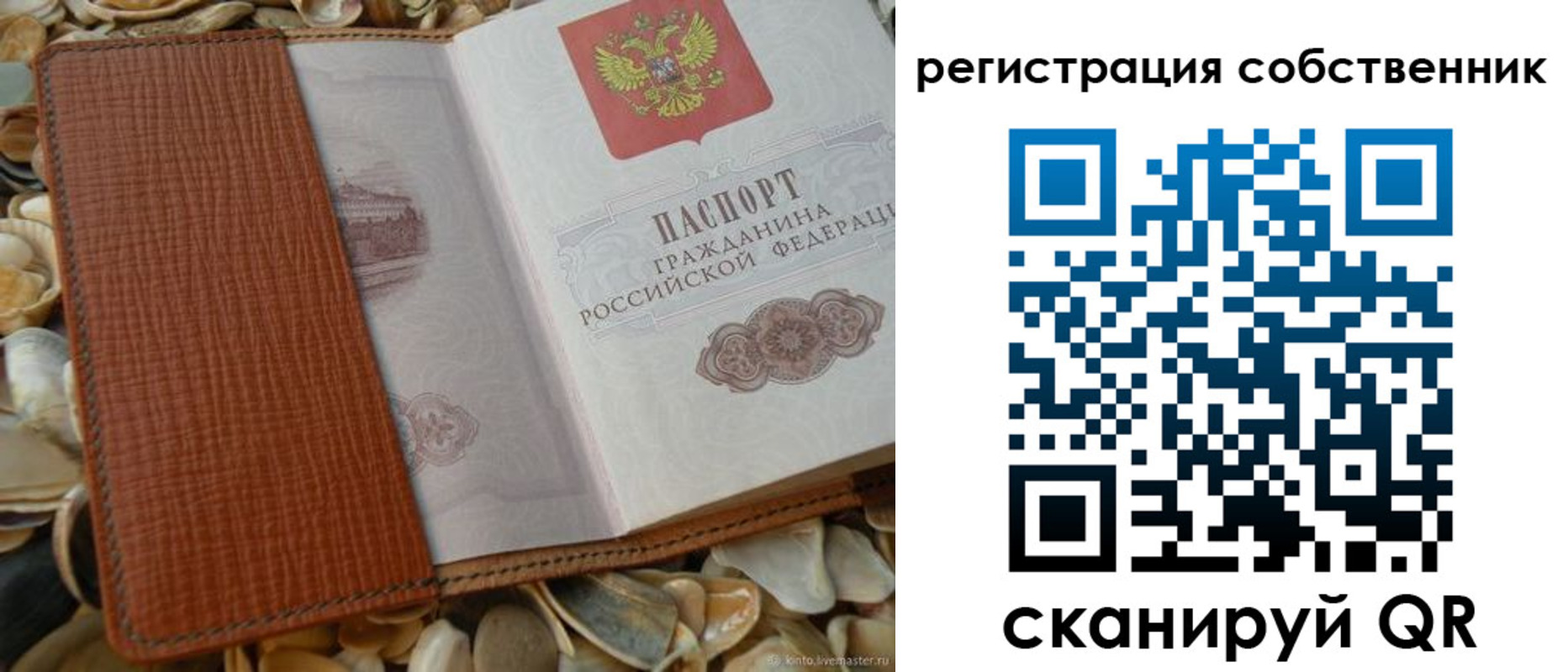 временная регистрация для школы в Вольске